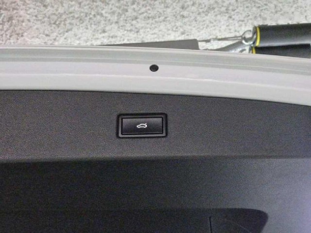 731980d19eb70990ab6a0af67fb40986.jpeg