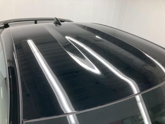 22837510_carP_l_16.jpg