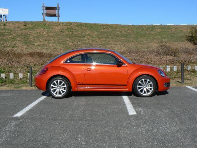 20089780_carP_l_10.jpg
