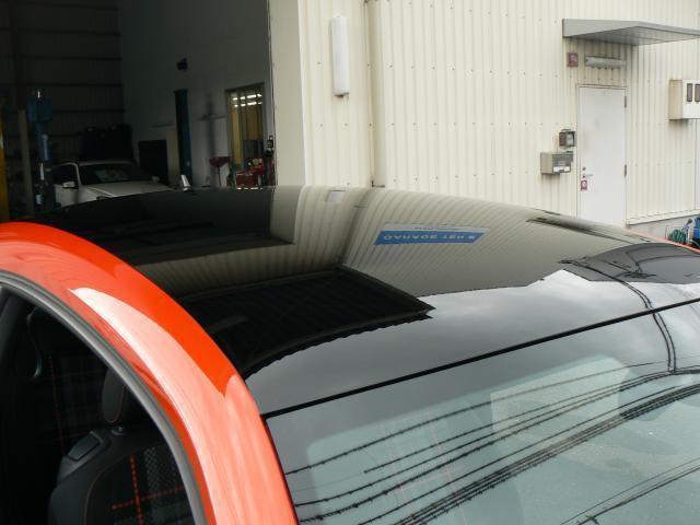 20089780_carP_l_20.jpg