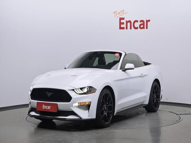 20193151_carP_l_1.jpg
