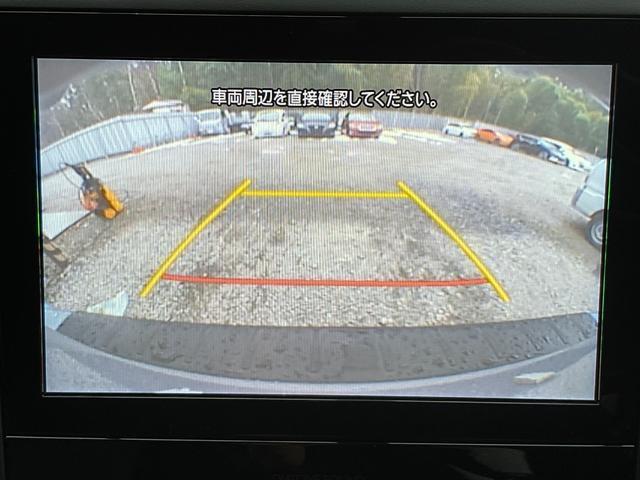 22314883_carP_l_12.jpg