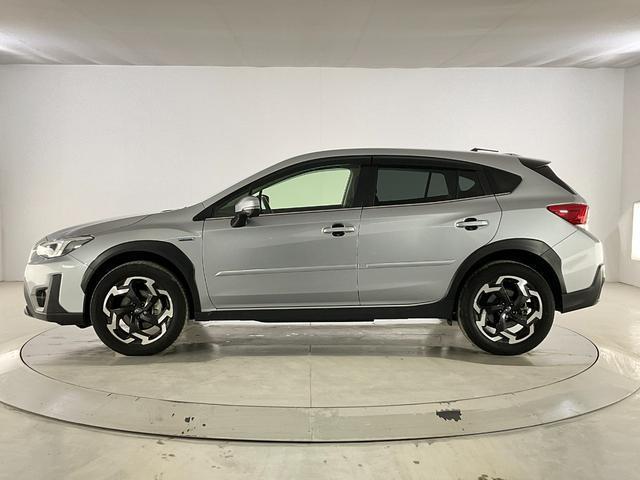 22314883_carP_l_4.jpg