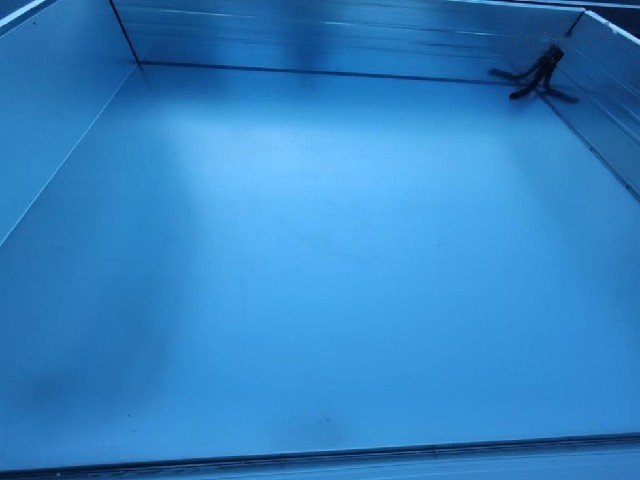 44130ca17ce006c6334aa539a0a5c81f.jpeg
