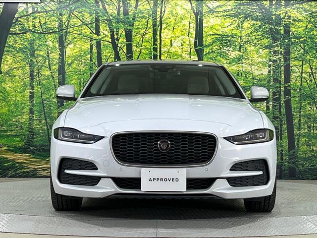 22720389_carP_l_20.jpg