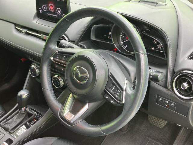 20473621_carP_l_8.jpg