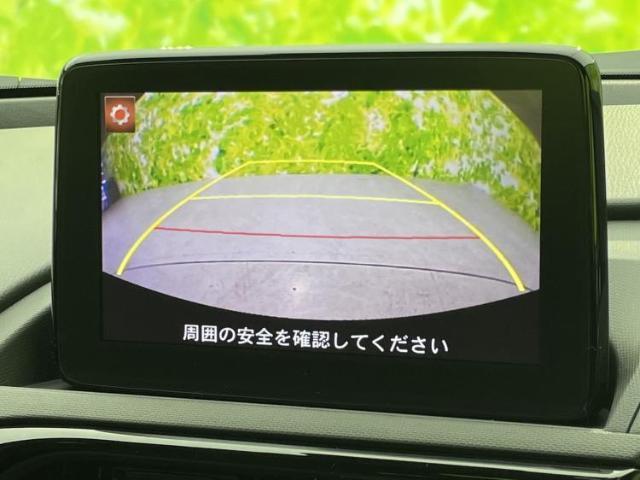 22044396_carP_l_6.jpg