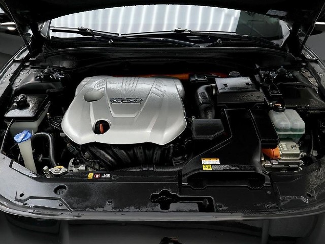 47d88327cd1ba0d25517f401bbdf8efa.jpeg