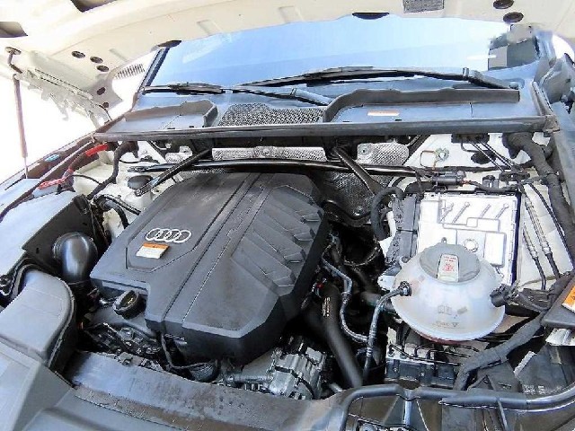 f932cc6365eeac0a8140aadd5e18992d.jpeg