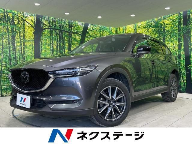 21836616_carP_l_1.jpg