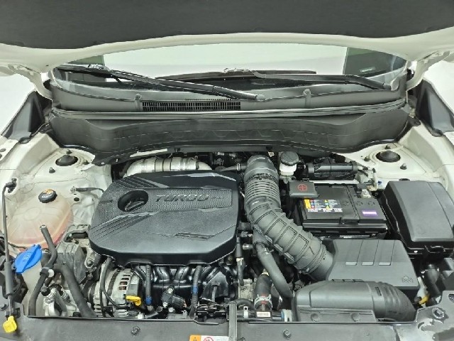 6101000638R5.jpg