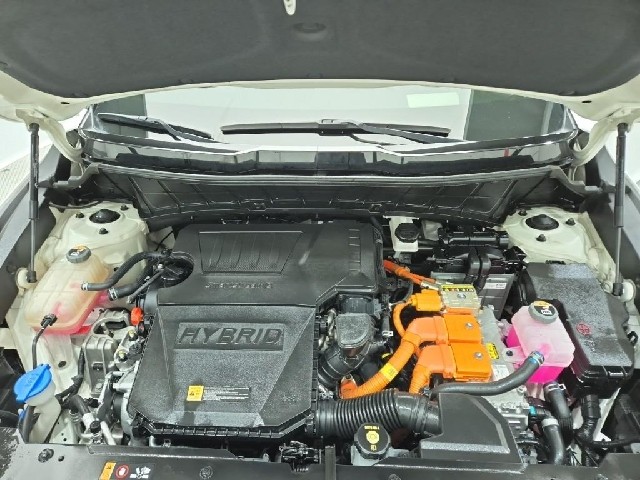 6101000869R5.jpg