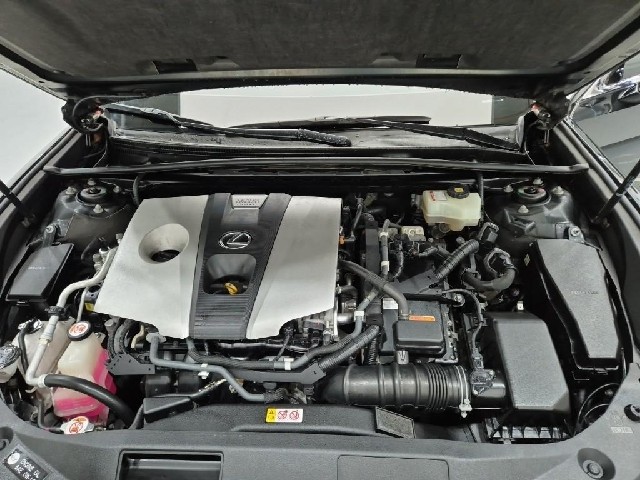6101000486R5.jpg