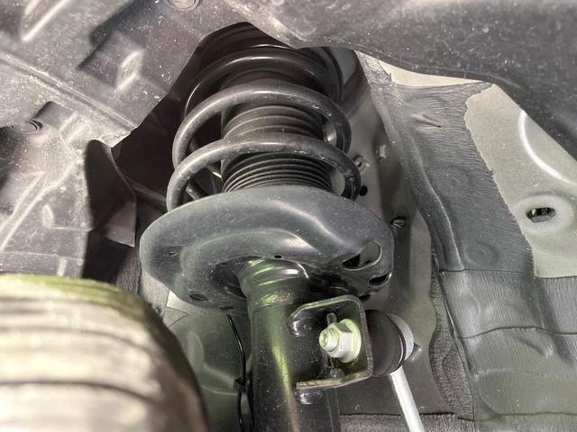 22698915_carP_l_20.jpg