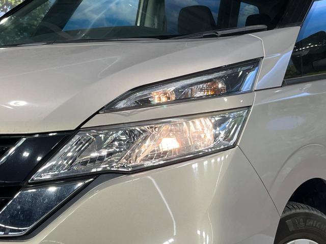 21620558_carP_l_7.jpg
