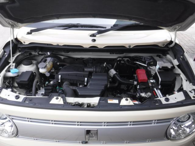 22728873_carP_l_18.jpg