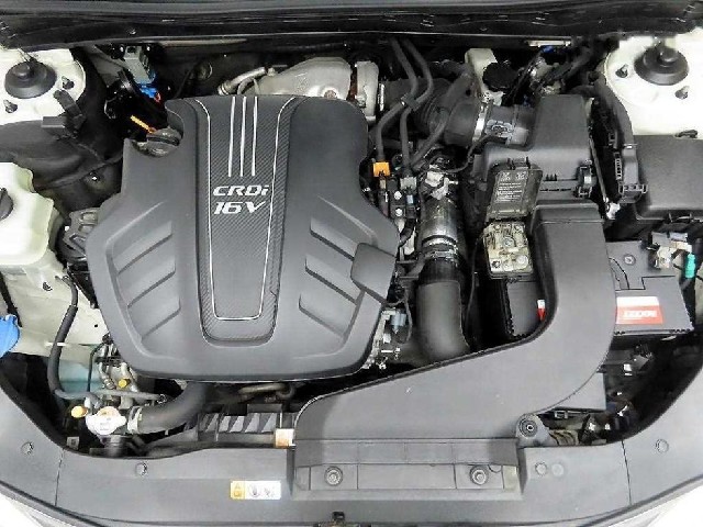 c523efd772836812dfd3cbe3653ab362.jpeg