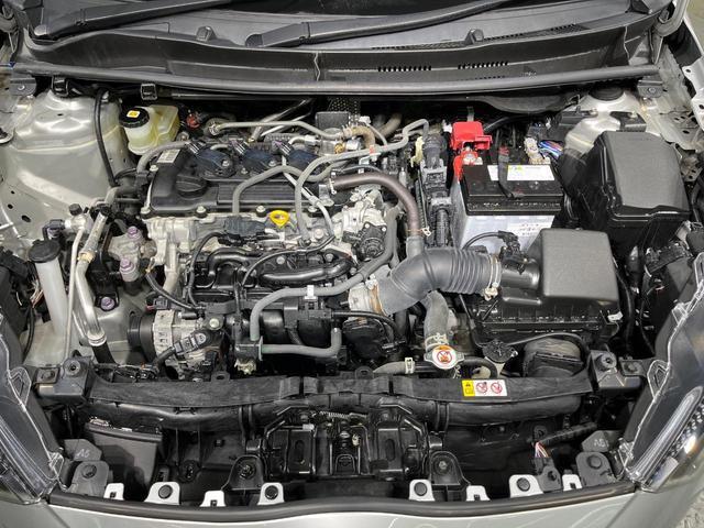 21009647_carP_l_16.jpg