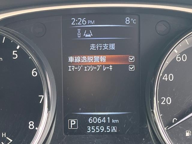 16882225_carP_l_9.jpg