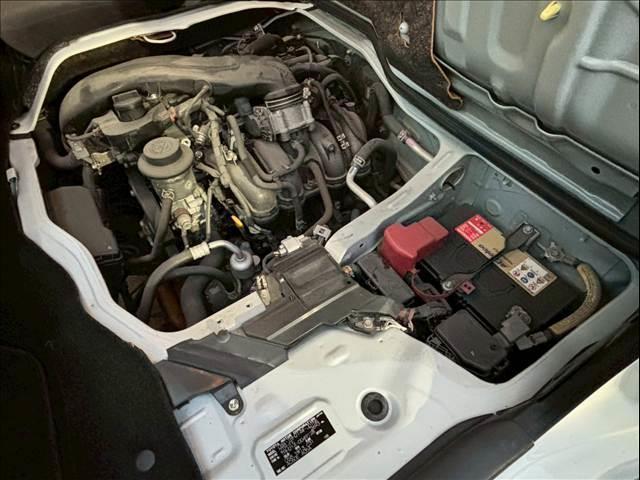 20935311_carP_l_20.jpg