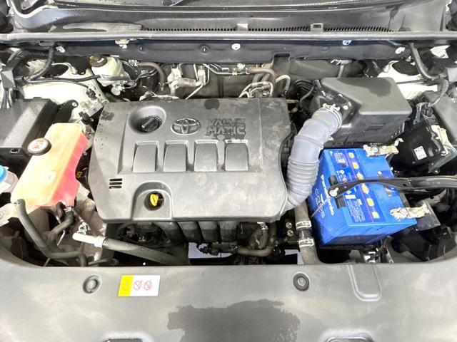 22205800_carP_l_16.jpg