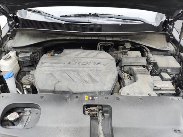lotterental_142845137_jSUgx_1.jpg