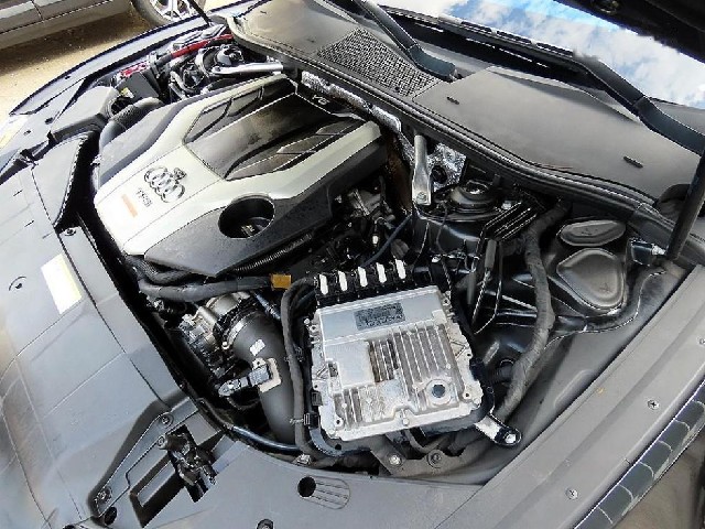 1b718cb5cc44a986cf09624d9b7169f7.jpeg