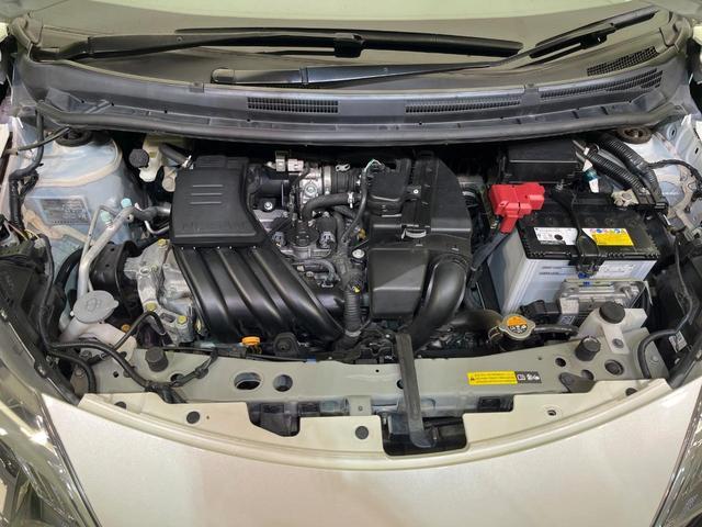23169158_carP_l_18.jpg
