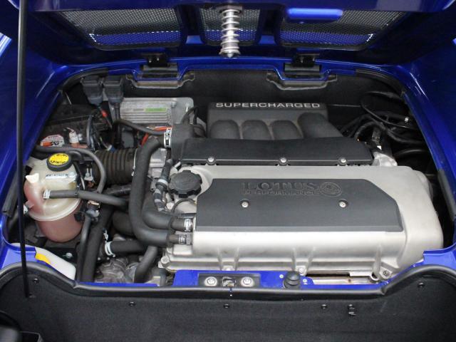 22491921_carP_l_17.jpg