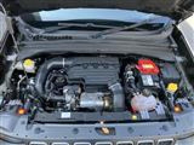 22449524_carP_l_19.jpg