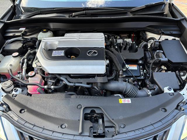 22108198_carP_l_9.jpg