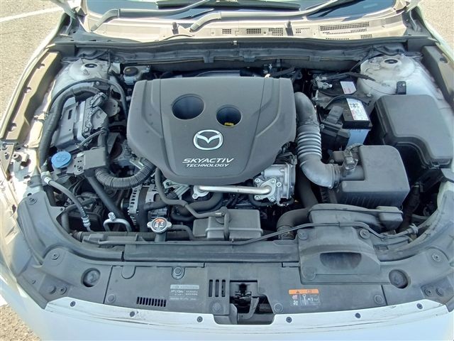 08.jpg