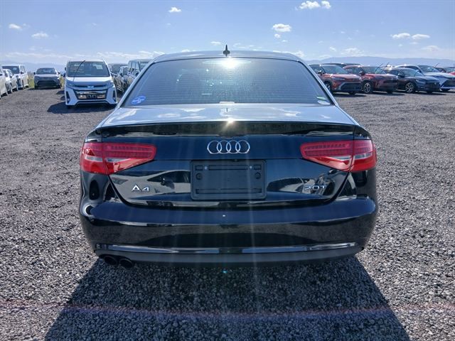 33.jpg