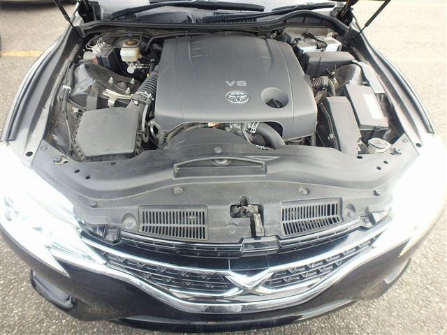 08.jpg