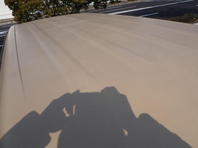 22071153_carP_l_16.jpg