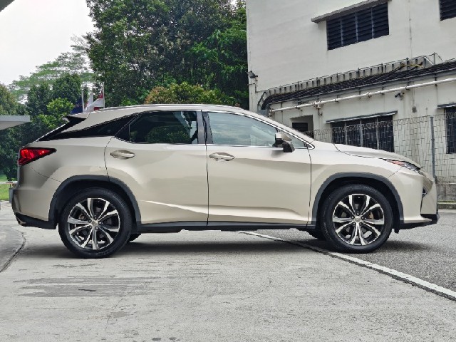 1b32a0c93689c1de234e0f6b26d5d20f.jpeg