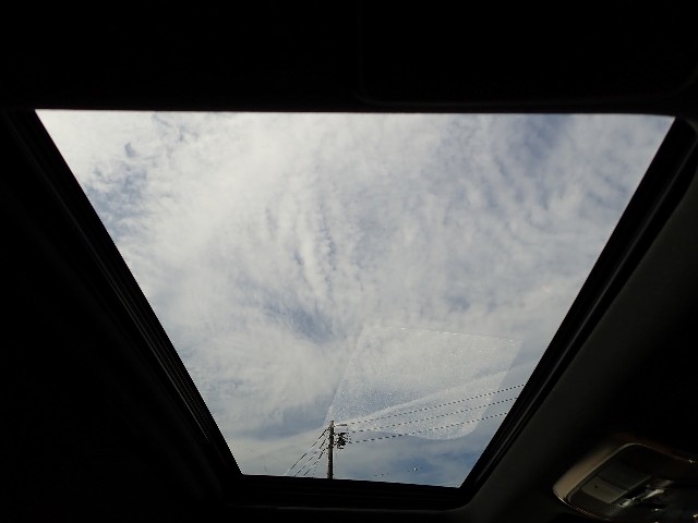 502d0233e7745cc6cea1e2be653a7d66.jpeg