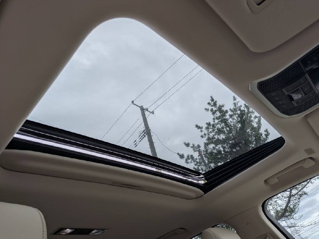2bd3409884762f36ef6d44d826737330.jpeg
