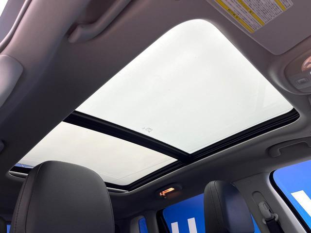 22600426_carP_l_4.jpg