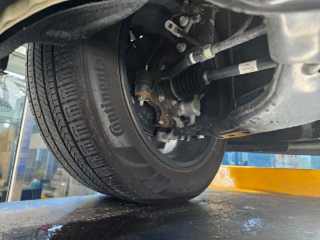 55380d014e5724a4b732ee141a638244.jpeg