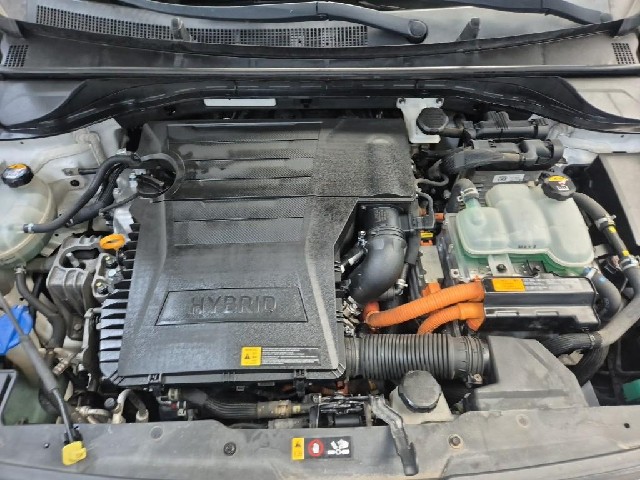 6101500556R5.jpg