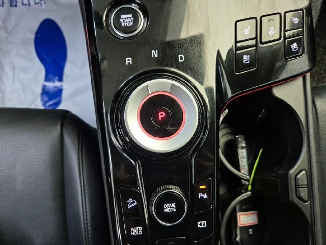 6101500976R8.jpg