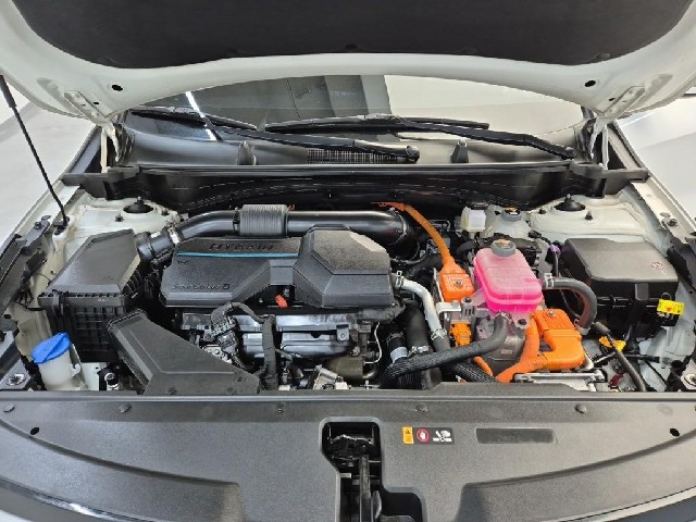 6101500934R5.jpg