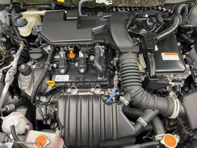 b237097876e9ac52ed5d77a07423492c.jpg
