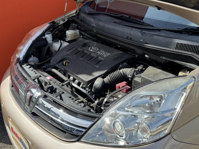 22698544_carP_l_17.jpg