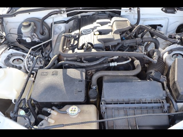 1bc8179ff33a8ef08b72cc6c89ea9f31.jpg