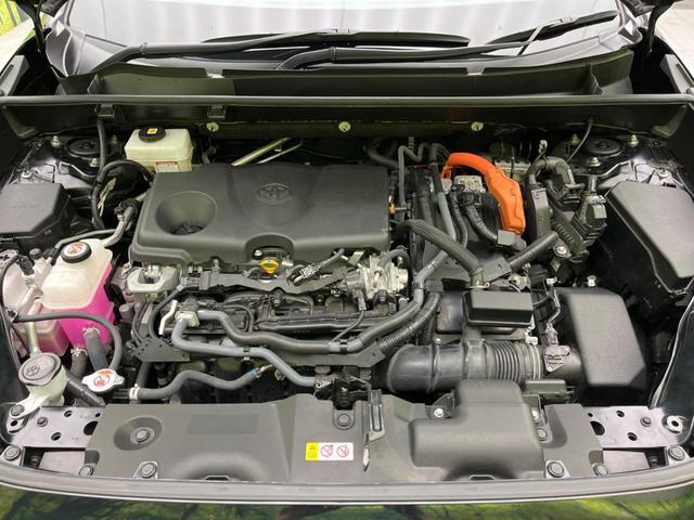 22582401_carP_l_16.jpg