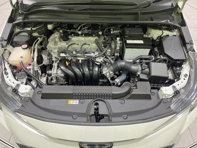 19226979_carP_l_16.jpg