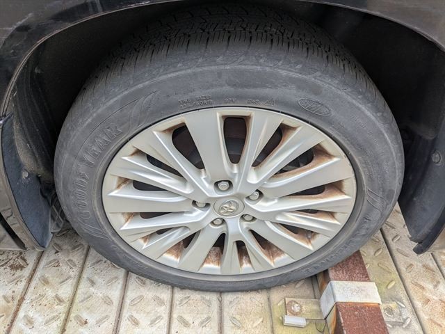 23.jpg