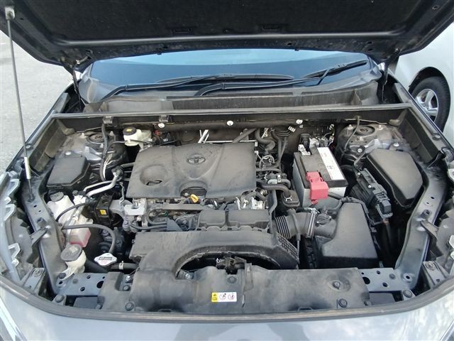 08.jpg